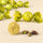 Perle Gesalzene Pistazie 1 kg