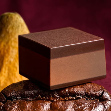 
                
                  Cremino
                
                  Espresso
                
              