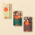Sortierte Gianduia-Tafeln Set mit 6