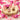Strawberry and Cream Pearl Bulk Bag
